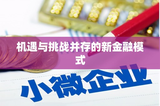 新屋机遇与挑战并存的新金融模式