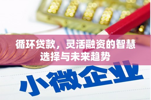 新屋循环贷款，灵活融资的智慧选择与未来趋势