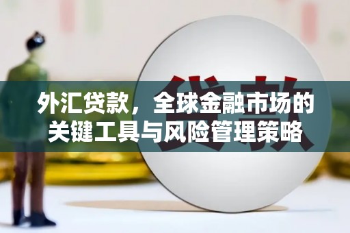 新屋外汇贷款，全球金融市场的关键工具与风险管理策略
