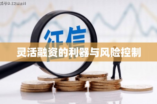 新屋灵活融资的利器与风险控制