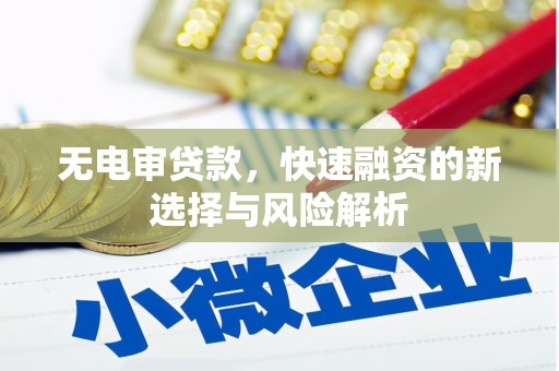 新屋无电审贷款，快速融资的新选择与风险解析