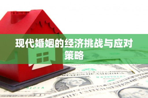 新屋现代婚姻的经济挑战与应对策略