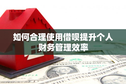 新屋如何合理使用借呗提升个人财务管理效率