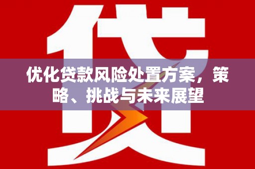 新屋优化贷款风险处置方案，策略、挑战与未来展望