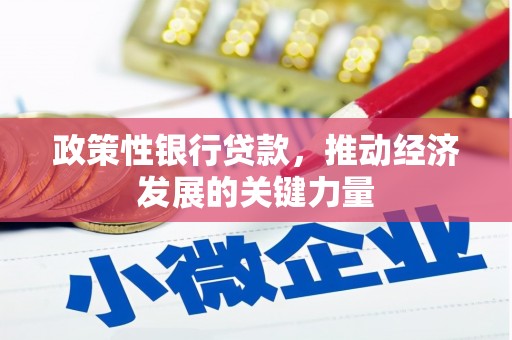 新屋政策性银行贷款，推动经济发展的关键力量