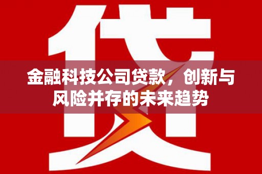 新屋金融科技公司贷款，创新与风险并存的未来趋势