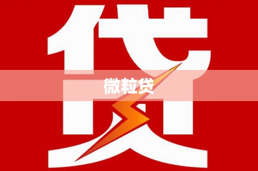 新屋微粒贷