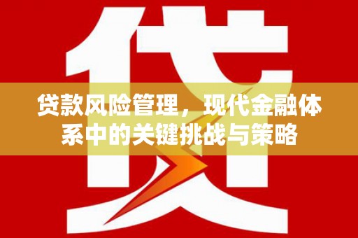 新屋贷款风险管理，现代金融体系中的关键挑战与策略