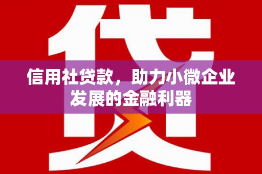 新屋信用社贷款，助力小微企业发展的金融利器