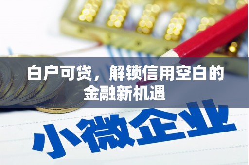 新屋白户可贷，解锁信用空白的金融新机遇