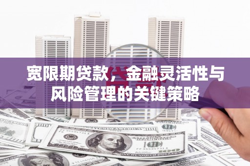 新屋宽限期贷款，金融灵活性与风险管理的关键策略