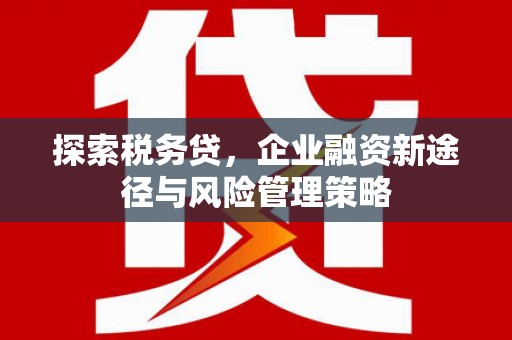 新屋探索税务贷，企业融资新途径与风险管理策略