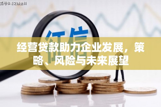 新屋经营贷款助力企业发展，策略、风险与未来展望