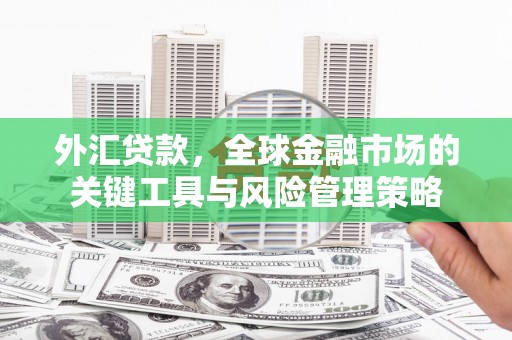 新屋外汇贷款，全球金融市场的关键工具与风险管理策略