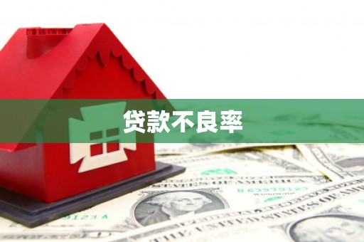 新屋贷款不良率