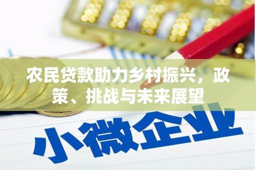 新屋农民贷款助力乡村振兴，政策、挑战与未来展望