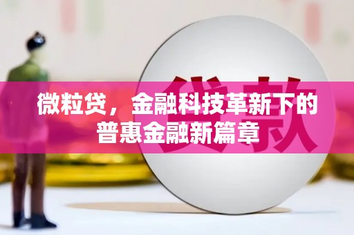 新屋微粒贷，金融科技革新下的普惠金融新篇章