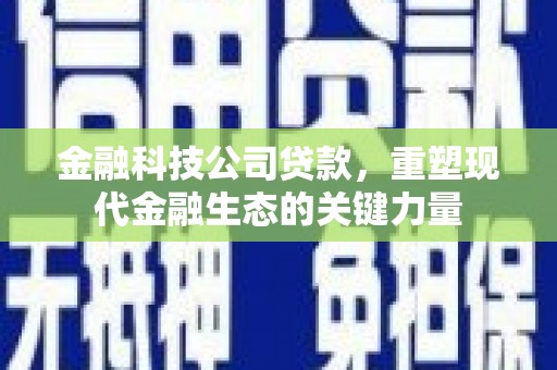 新屋金融科技公司贷款，重塑现代金融生态的关键力量