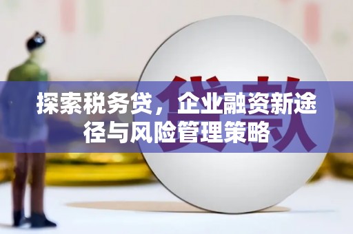 新屋探索税务贷，企业融资新途径与风险管理策略