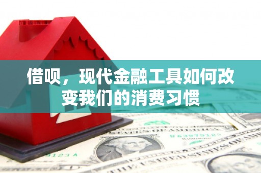 新屋借呗，现代金融工具如何改变我们的消费习惯