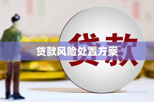 新屋贷款风险处置方案