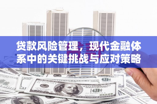 新屋贷款风险管理，现代金融体系中的关键挑战与应对策略