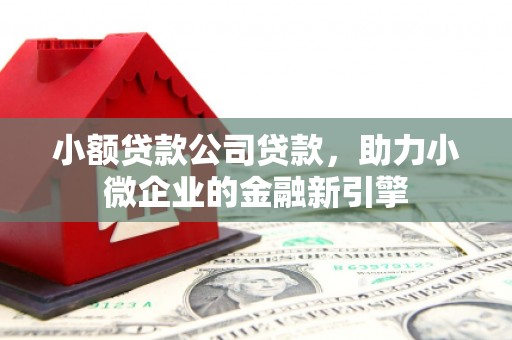 新屋小额贷款公司贷款，助力小微企业的金融新引擎