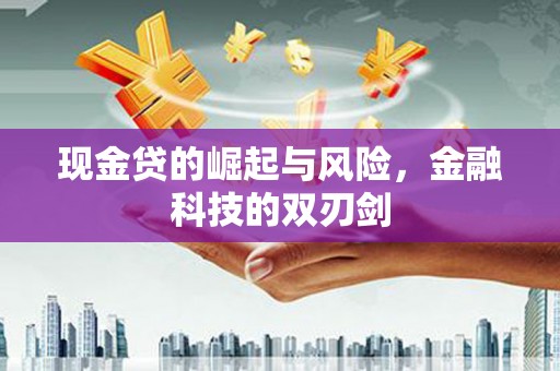 新屋现金贷的崛起与风险，金融科技的双刃剑