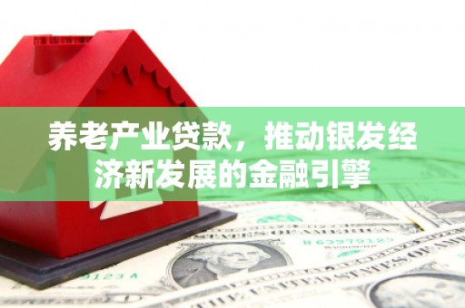 新屋养老产业贷款，推动银发经济新发展的金融引擎