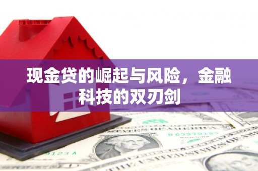 新屋现金贷的崛起与风险，金融科技的双刃剑