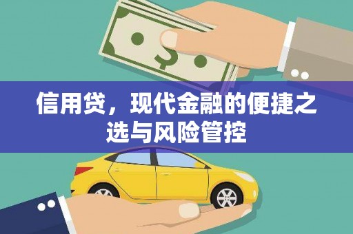 新屋信用贷，现代金融的便捷之选与风险管控