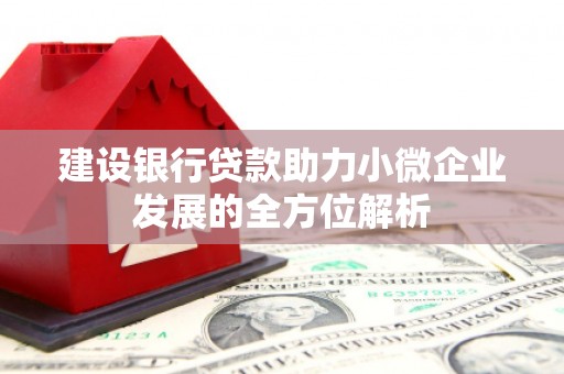 新屋建设银行贷款助力小微企业发展的全方位解析