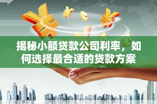 新屋揭秘小额贷款公司利率，如何选择最合适的贷款方案