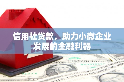 新屋信用社贷款，助力小微企业发展的金融利器