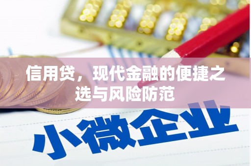 新屋信用贷，现代金融的便捷之选与风险防范