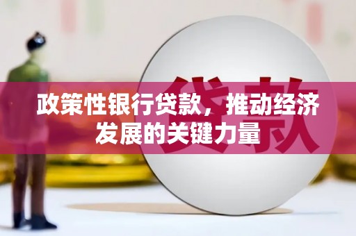 新屋政策性银行贷款，推动经济发展的关键力量