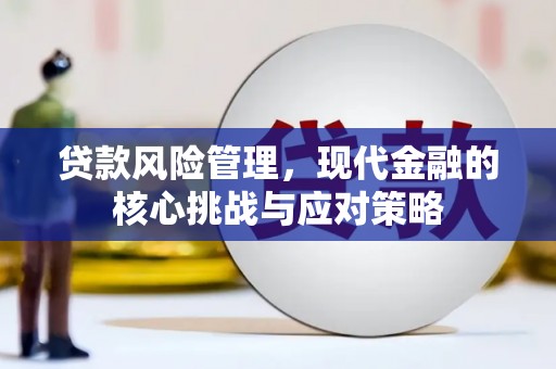 新屋贷款风险管理，现代金融的核心挑战与应对策略