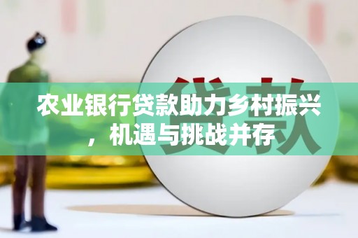 新屋农业银行贷款助力乡村振兴，机遇与挑战并存