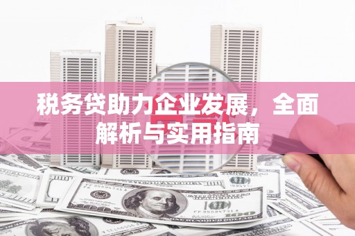 新屋税务贷助力企业发展，全面解析与实用指南
