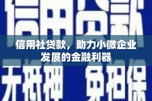 新屋信用社贷款，助力小微企业发展的金融利器