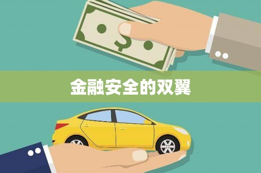 新屋金融安全的双翼