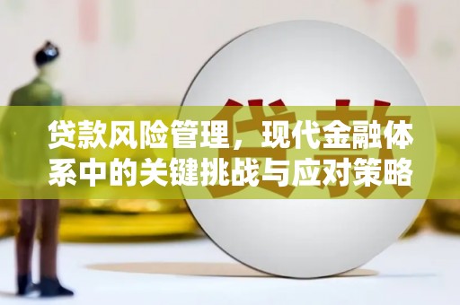新屋贷款风险管理，现代金融体系中的关键挑战与应对策略
