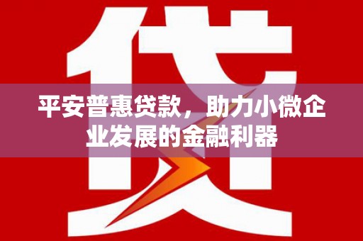 新屋平安普惠贷款，助力小微企业发展的金融利器