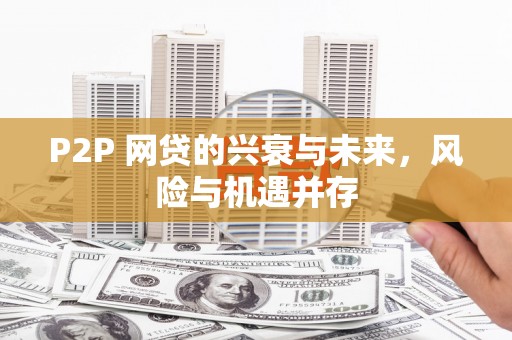 新屋P2P 网贷的兴衰与未来，风险与机遇并存