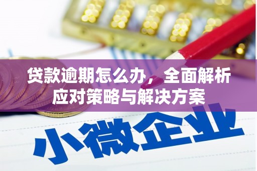 新屋贷款逾期怎么办，全面解析应对策略与解决方案