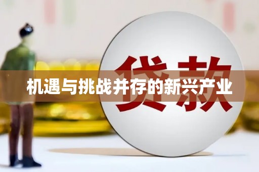 新屋机遇与挑战并存的新兴产业