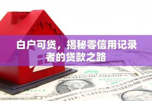 新屋白户可贷，揭秘零信用记录者的贷款之路