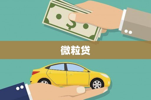 新屋微粒贷