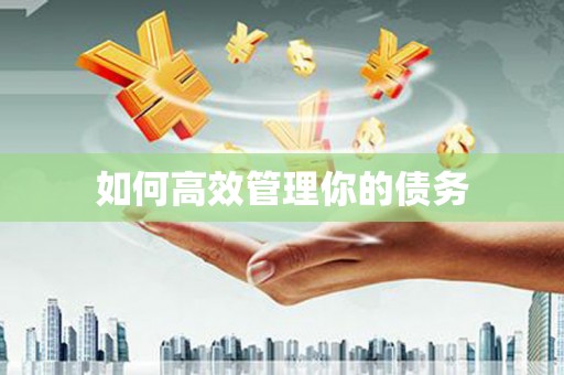 新屋如何高效管理你的债务
