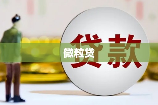 新屋微粒贷